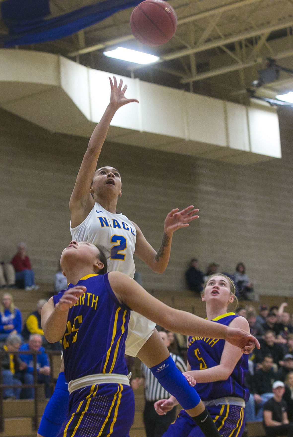 WBBall NIACC vs. Ellsworth 9